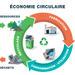 leconomie-circulaire-une-solution-prometteuse-pour-un-avenir-durable