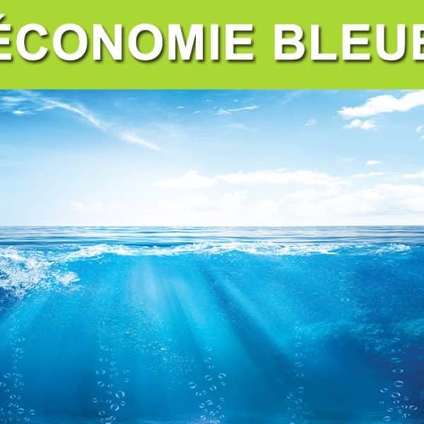 L’économie bleue : un nouvel horizon pour la croissance durable et la préservation des océans