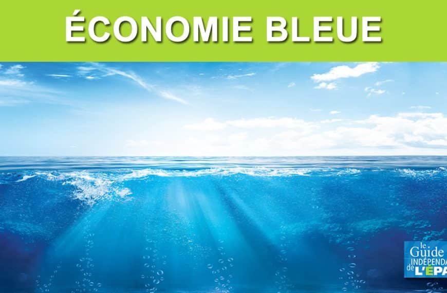 L’économie bleue : un nouvel horizon pour la croissance durable et la préservation des océans